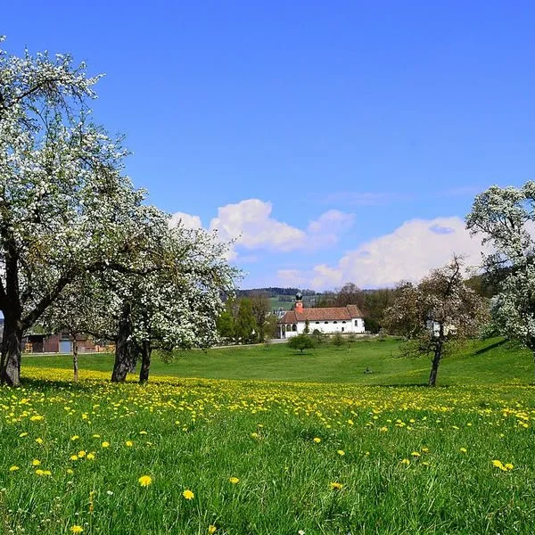 Frühlingsferien Sprachkurs in St.Gallen