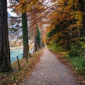 Herbstferien Sprachkurs in St.Gallen